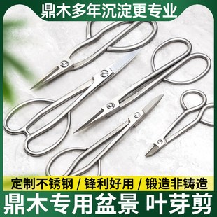 盆景叶芽剪园艺修枝尖头剪刀插花剪小枝叶剪盆栽制作造型用不锈钢
