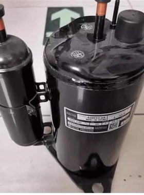 原装台湾瑞志 旋转制冷压缩机 50R473V 48R313A 44R233B 50R453V