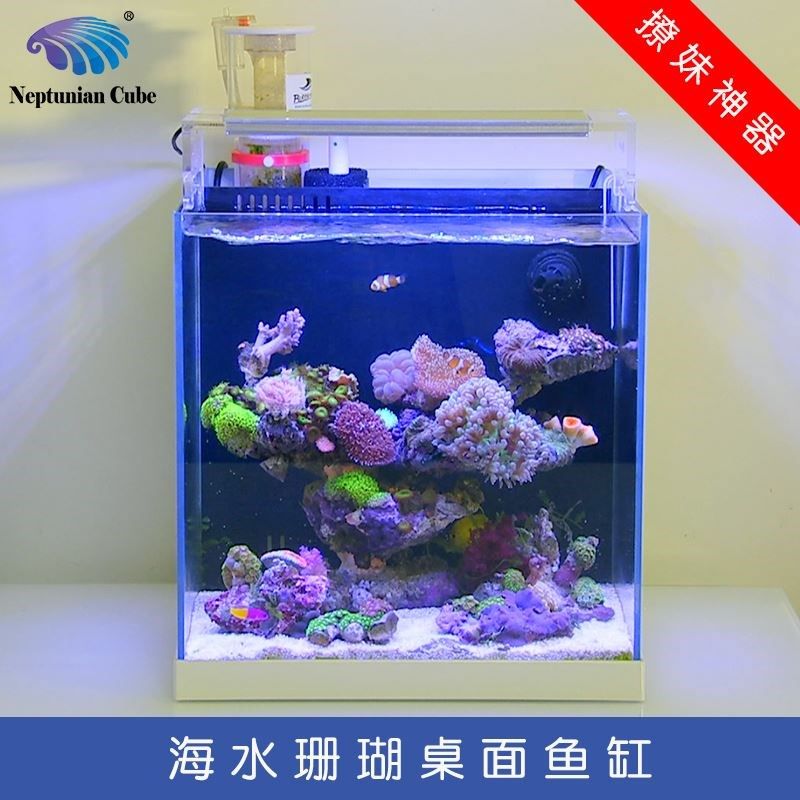 新款海魔方珊瑚缸海水鱼缸水族箱背滤套缸超白玻璃微缸桌面T40T45