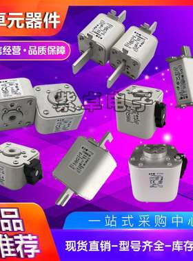 170M3812  170M3981 170M3982 170M3983 170M3984 170M3985保险丝