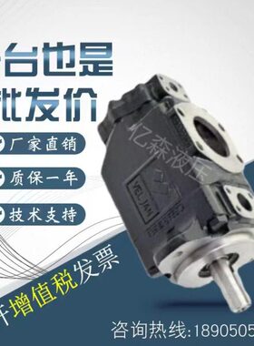 印度维京VELJAN叶片泵VT6B-B02/03/04/05/06/07/08/09-5R01D4-03