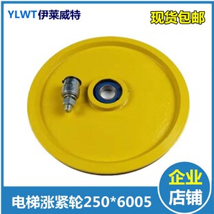 电梯限速器重锤坠陀涨紧装 斯 置涨紧轮250轴承6005适用西子奥