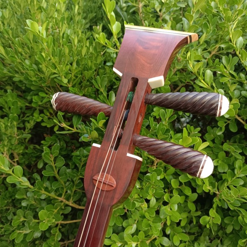 紫檀曲艺大三弦蟒皮三弦