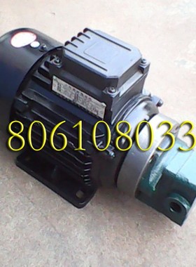 ZQ3040轻型摇钻泵机组Z3025液压钻床的液压油泵 齿轮泵电机组