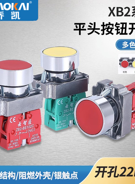 XB2-BA31 XB2-BA42 XB2-BA51 XB2-BA61XB2-BA21平钮按钮