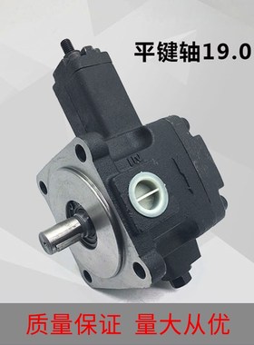 VP-20-FA3液压泵VP-30-FA3/40/08/12/15液压站配件变量叶片泵油泵