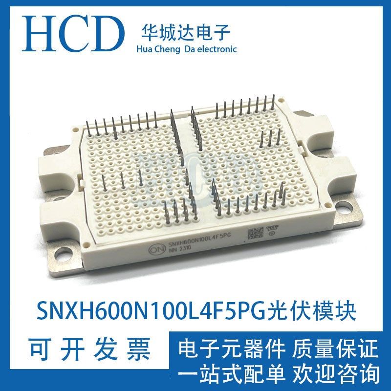 SNXH600N100L4F5PG光伏模块 SNXH100M95L3Q2F2PG光伏模块