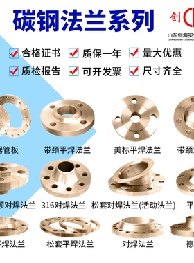 PN6 10 16新标平焊法兰/碳钢焊接法兰/锻打对焊法兰盘/法兰片DN50