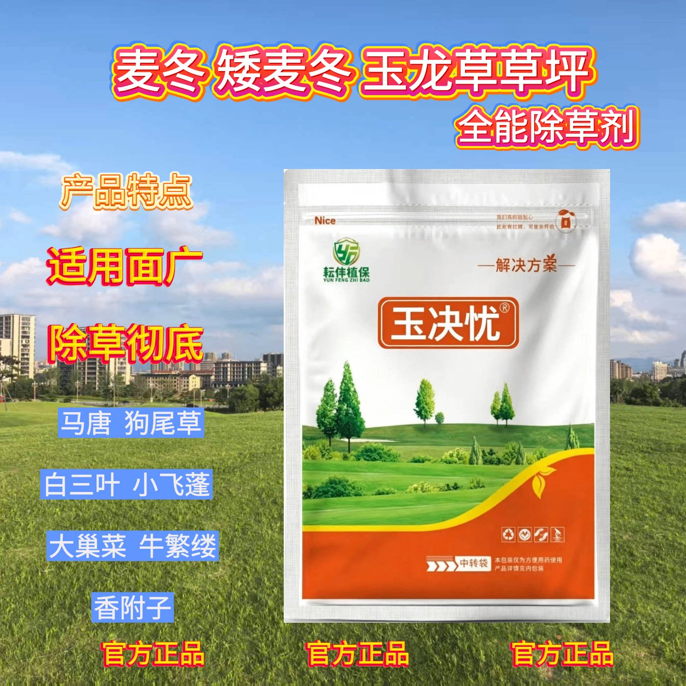 玉决忧麦冬玉龙草矮麦冬用除草剂图片