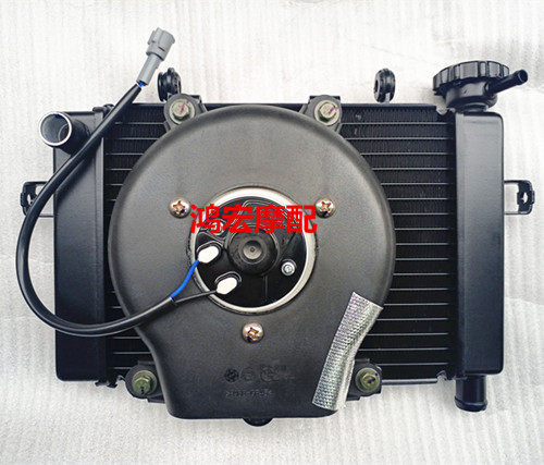 VOGE无极LX250GS-3 LX250RR 250RR原装水箱散热器水壶冷却液