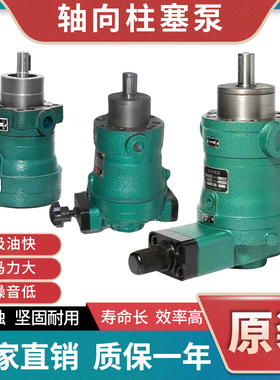 启东轴向柱塞泵2.5/5/10/16/25/32/40/63/80/100MCY SCY YCY14-1B