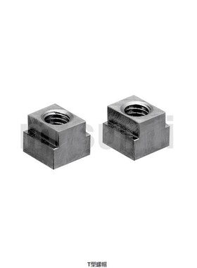 品质替米思米T型螺帽NTS3/NTS4/NTS5/NTS6/NTS8/NTS10/NTS12NTS16