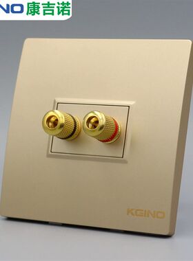 香槟金色86型二位双头音箱插座 双位环绕音箱多媒体音响墙壁面板