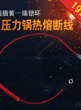 适用电压力锅煲配件CYSB50FC8Q-100/SY0707热熔断线保险丝线管