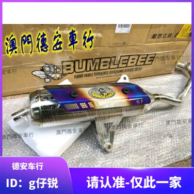黄蜂BS白铁回压静音排气管 SMAX FORCE 林海领程175改装 死气喉