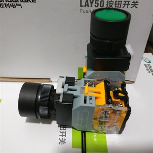 11D 双科电气 22C LAY50 LED灯源 带灯型复位按钮开关