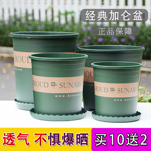 加厚花盆加伦盆阳台家用塑料创意绿萝月季盆大号种植兰花清仓花盆