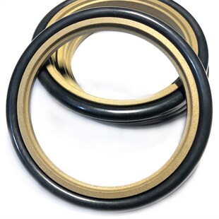 2.2 9.9 轴用组合密封圈斯特封STd 10.9 8.9 2.2油封