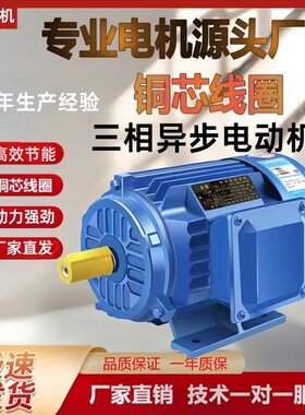 三相异步电机380jv国标电机全铜电机0.37-500千瓦2级4级6级8级马
