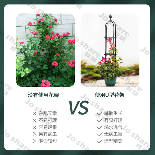 U型欧式飘香藤爬藤花架植物爬藤架加厚包塑圆柱盆栽月季玫瑰支架