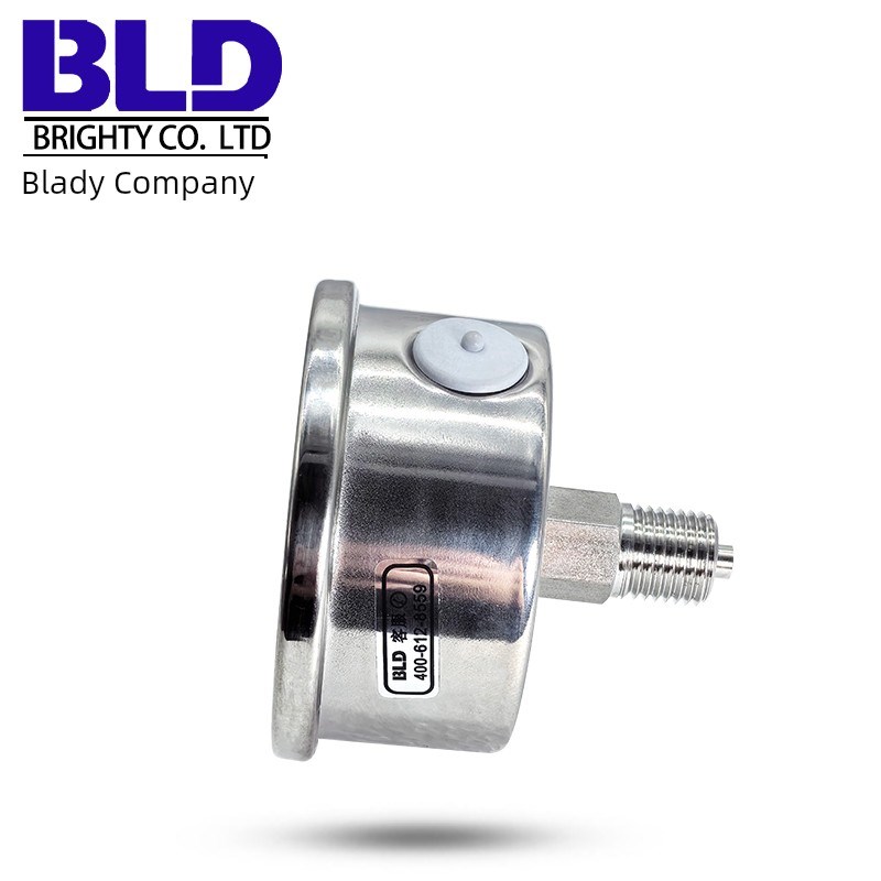 YTH(N)63Z不锈钢耐震轴向安装北京布莱迪压力表全钢蒸气高温表BLD