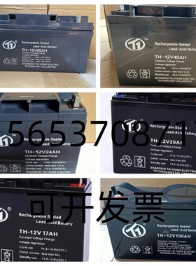 台洪蓄电池TH-12V100AH65A40A24A17A150A200AH直流屏UPS/EPS电源
