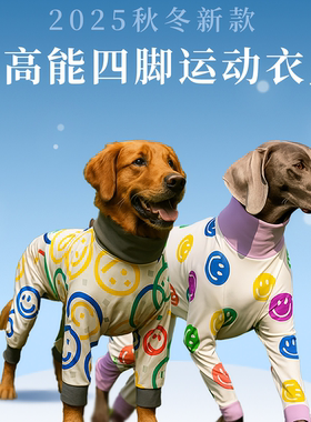 DGDG狗狗高能运动衣 2025秋季新款 狗狗防虫防脏四脚防护服