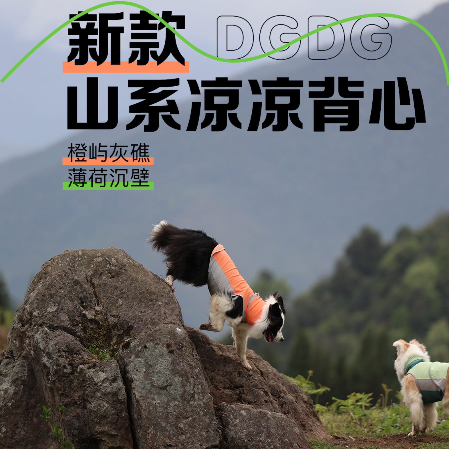 DGDG狗狗凉凉背心2025新款防晒