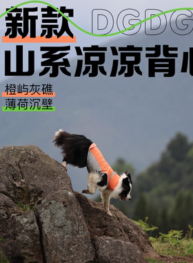 DGDG山系狗狗高领凉凉背心 2025新款 冰丝透气 狗狗夏季凉凉衣