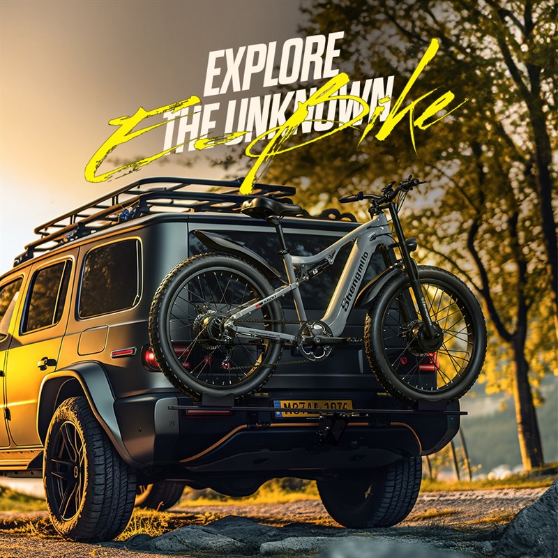 S600电动双驱电机越野锂电池助力肥轮雪地沙滩成人代步山地自行车