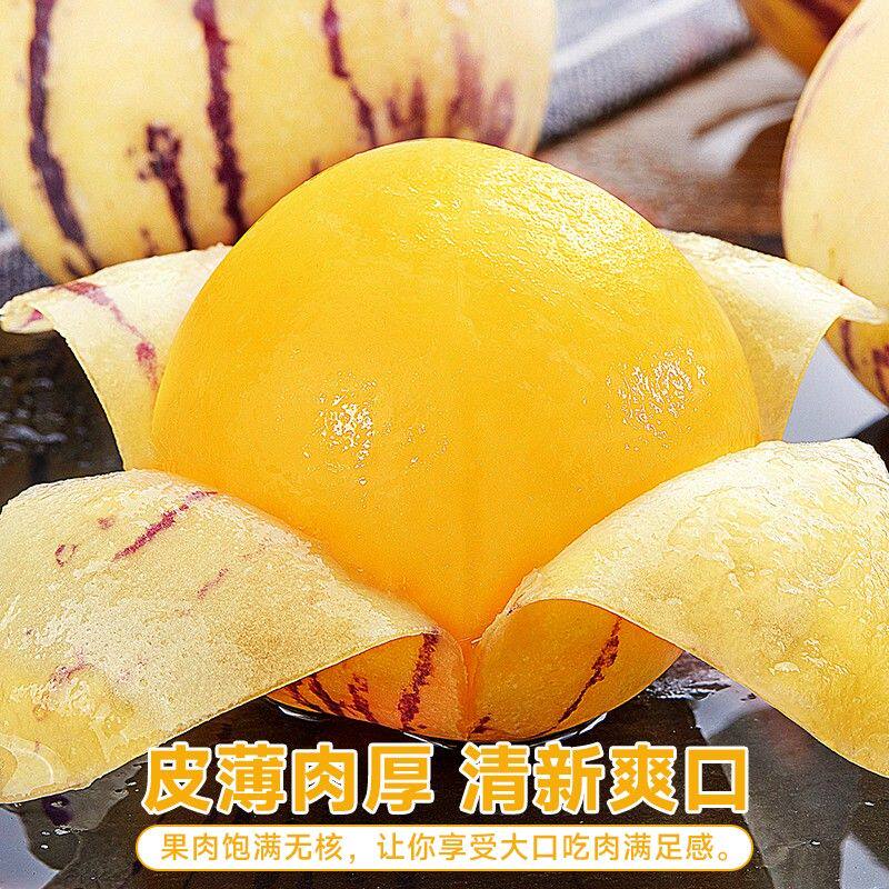 【真.树熟】云南石林人参果新鲜高山种植人叁果水果七彩黄肉圆果