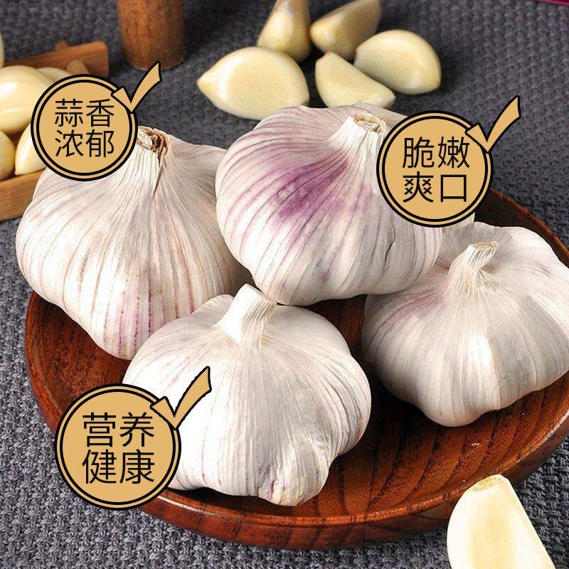 【大夏臻品】山东金乡紫白皮大蒜2026大蒜自然晒干干蒜农家大蒜