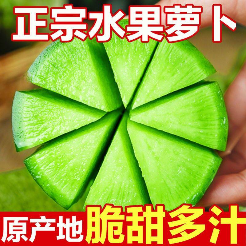 潍坊特产水果萝卜产地直发清甜微辣口感脆爽营养丰富