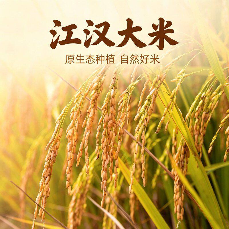 【江汉大米】2026年新米真空装多规格 支持正装开袋试吃2斤 @ M