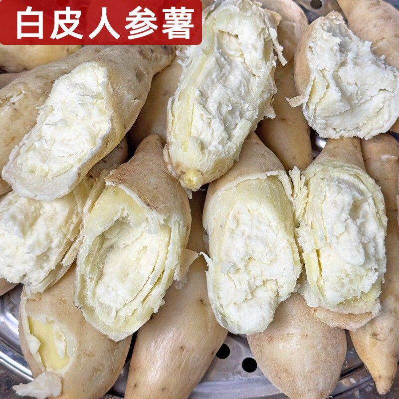 新鲜白皮人参薯小白薯白皮白心红薯牛奶板栗薯白瓤栗子香地瓜白薯