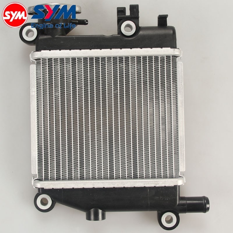 三阳 XS150T-10/12 huskey 哈士奇150 DRG 黑曼巴 散热器 水箱