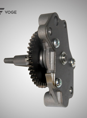 无极机车LX300GY LX300AC LX300R LX300RR LX300DS原装机油泵