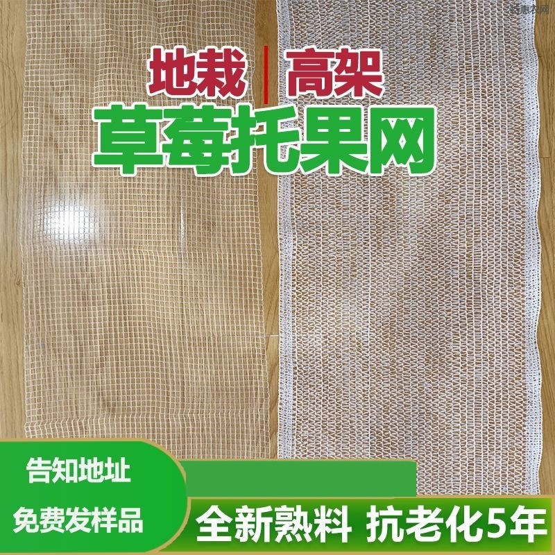 草莓托果网托架草k莓防护网隔离网垫网托果架支架支撑架草莓托果