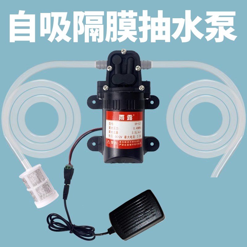 家用隔膜泵电动吸水净水机直流1F2V小型自吸泵抽水泵净水器