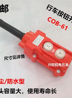 电动葫芦吊机行车按钮开关COB(LA128)-61上下按控制5A 250V开闭器