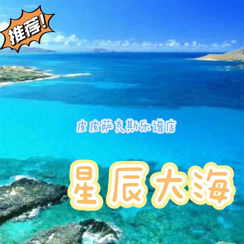 星辰大海 萨克斯谱o长笛单簧管小号小提琴中提琴皮皮音乐收藏馆