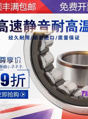 进口SKF轴承NUP/218/219/220/221/222/224/226/ECP/ECJ/ECM/M//C3