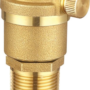 瑞格102 丝口自动 立式 排气阀 黄铜阀门4分6分DN15 20 25