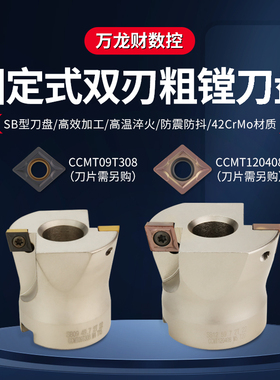 SB固定式粗镗刀盘扩孔刀头ST数控双刃镗刀盘CCMT09 12 44.7-99.7