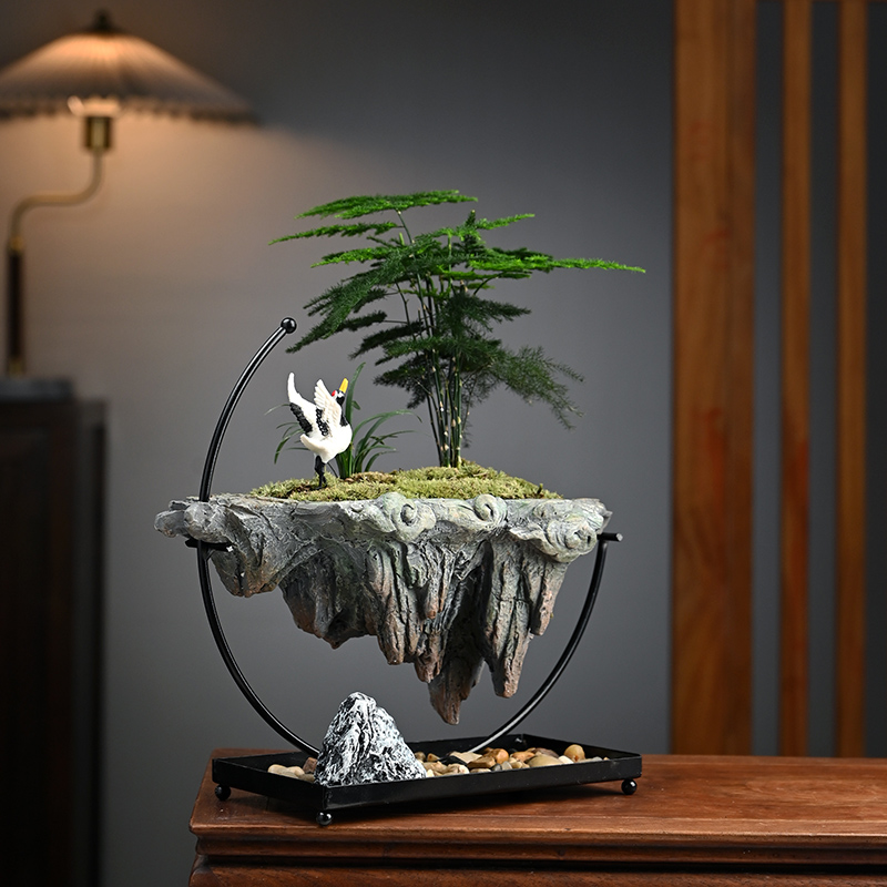 悬浮倒山文竹米竹绿植摆件盆栽景观办公室内玄关客厅桌面净化空气