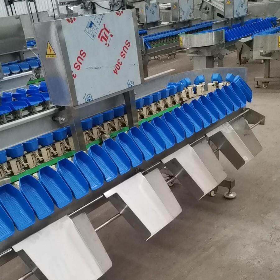 石NTJ榴称分选机哈密瓜瓜脱骨木糖李子分级设备百香重果重量冰分
