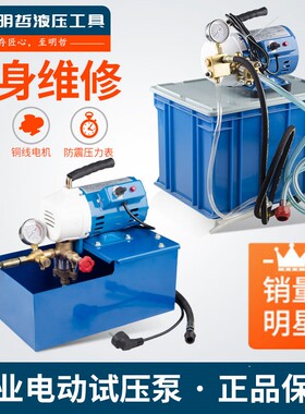 DSY-25 60手提式电动试压泵 PPR水管道试压机 双缸打压泵打压机。