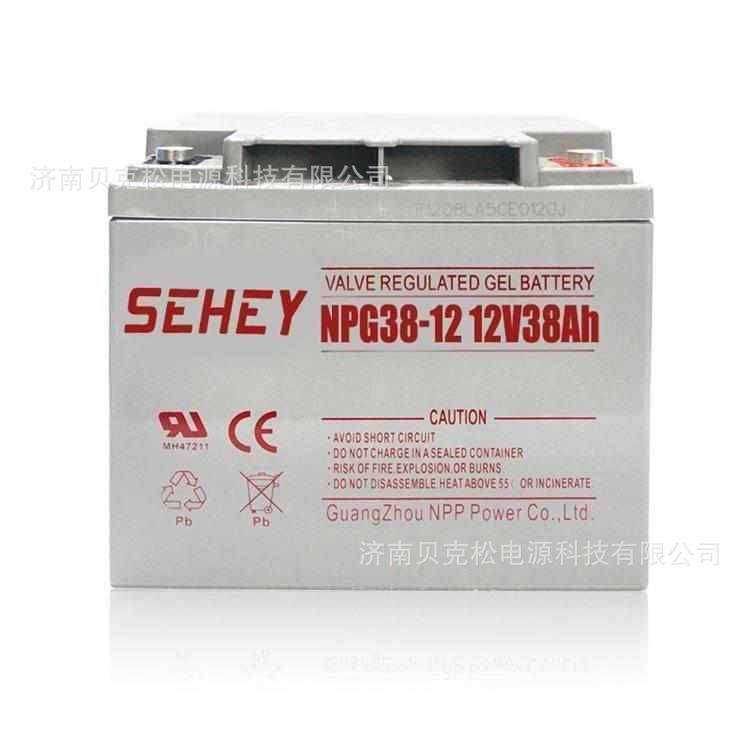 西力铅酸蓄电池NPG12-100SH太阳能发电船舶12v100a电瓶深循环