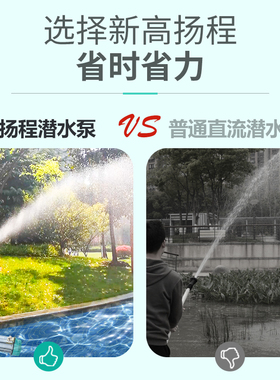 直流潜水泵电动车灌溉家用农用24v48v抽水机12v60v高扬程潜水泵