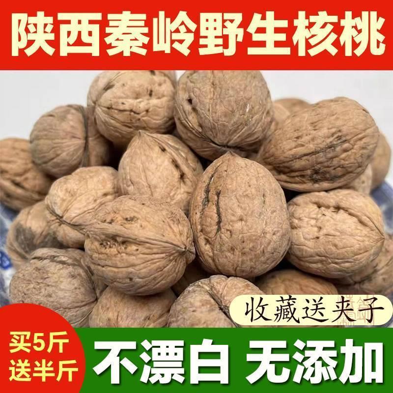 速发陕西核桃2024新货秦岭厚皮农家特产原味山核桃大果袋装零